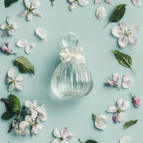 Enchanted Mirage - Image 3